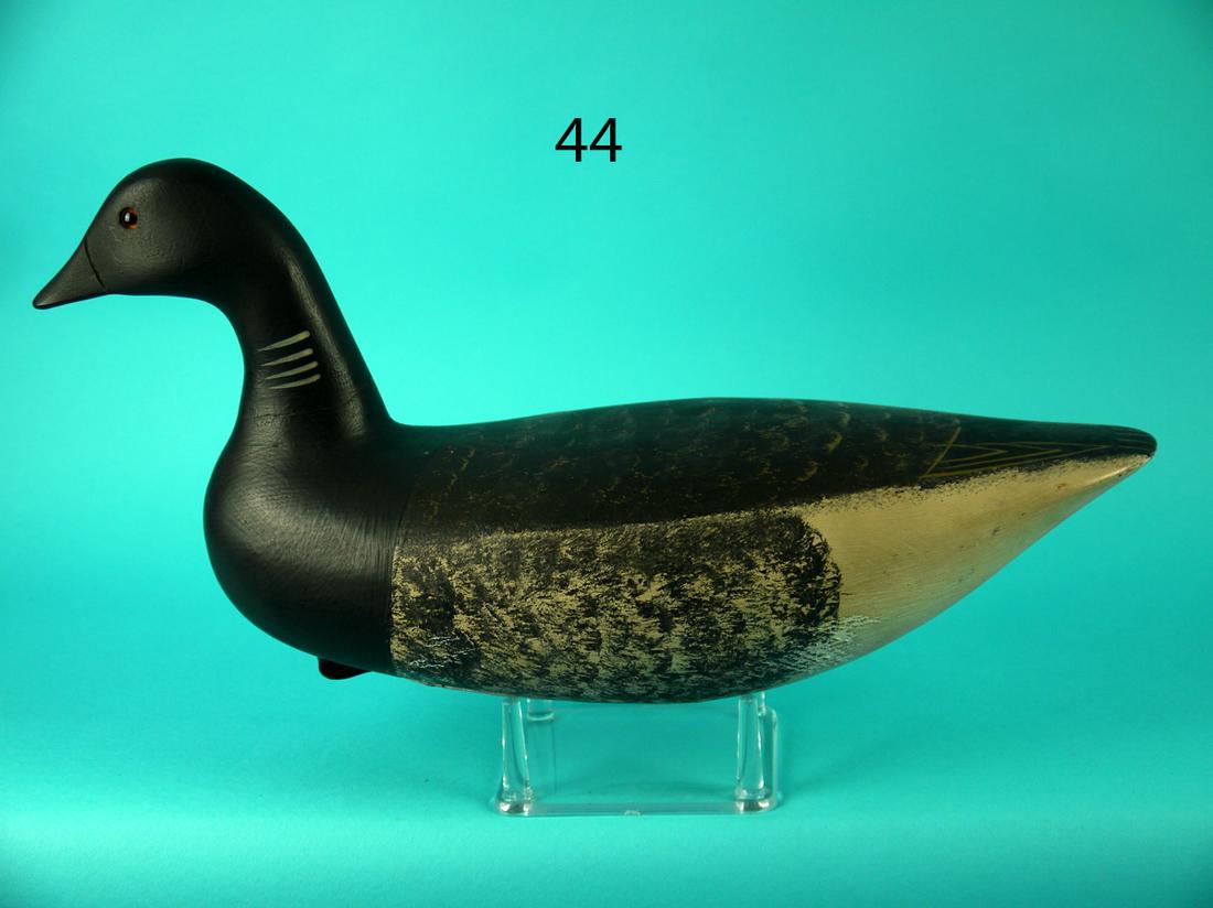 BRANT, WILDFOWLER (1 of 4)