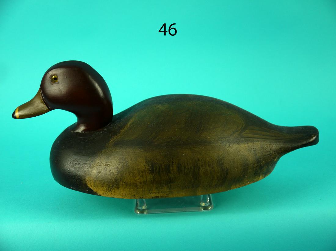 RED HEAD DRAKE, WILDFOWLER (1 of 4)