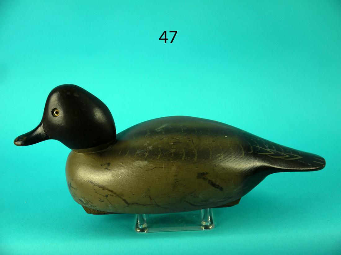 REDHEAD DRAKE, WILDFOWLER (1 of 4)