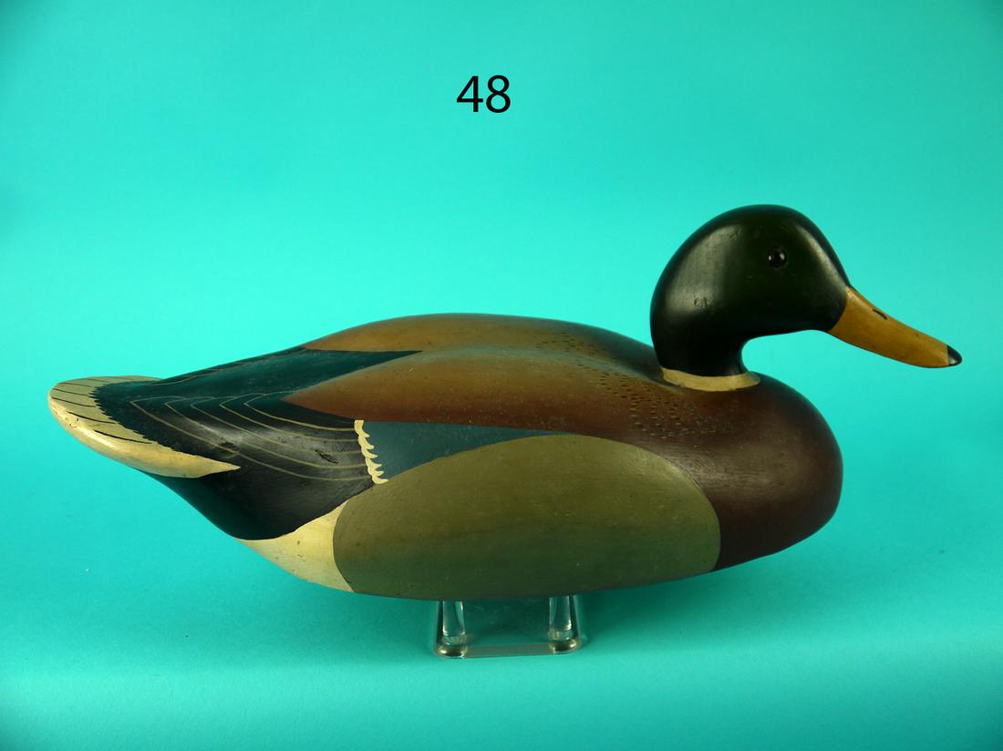 MALLARD DRAKE, WILDFOWLER (1 of 4)