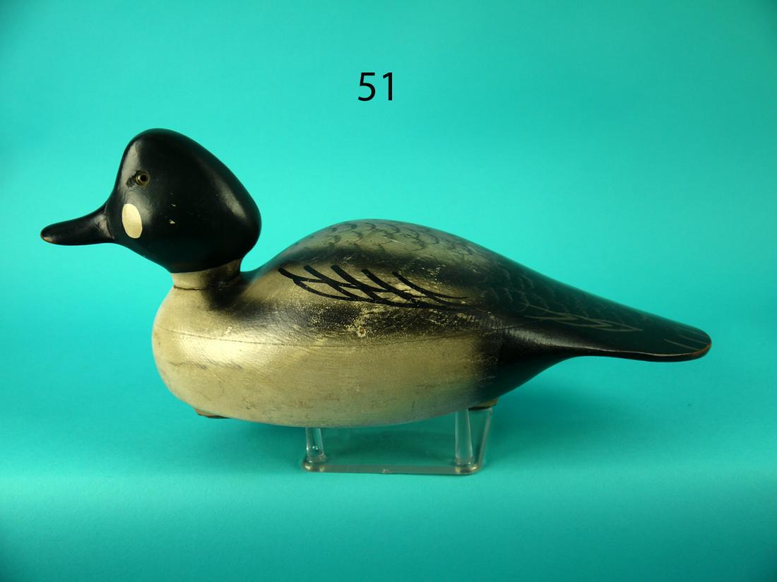 GOLDENEYE DRAKE, WILDFOWLER (1 of 4)