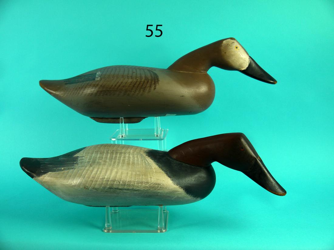 CANVASBACK PAIR, CAPT. B. BOYD (1 of 4)