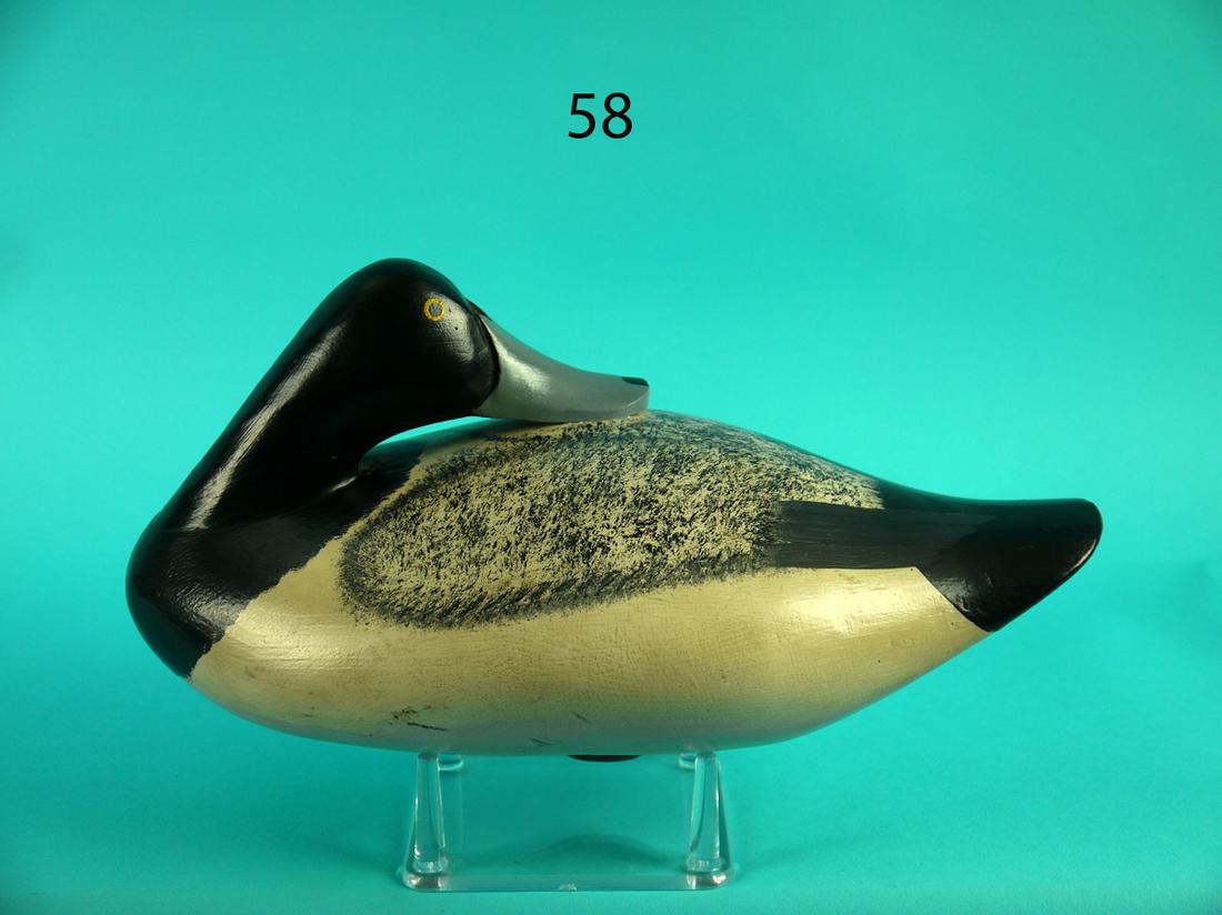 BLUEBILL DRAKE, UPPER BAY (1 of 4)