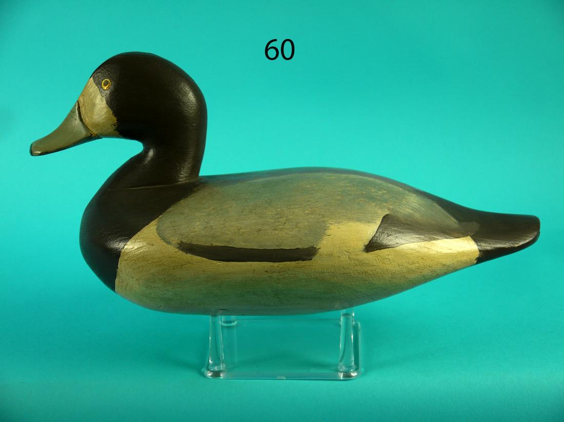 BLUEBILL HEN, UPPER BAY (1 of 4)