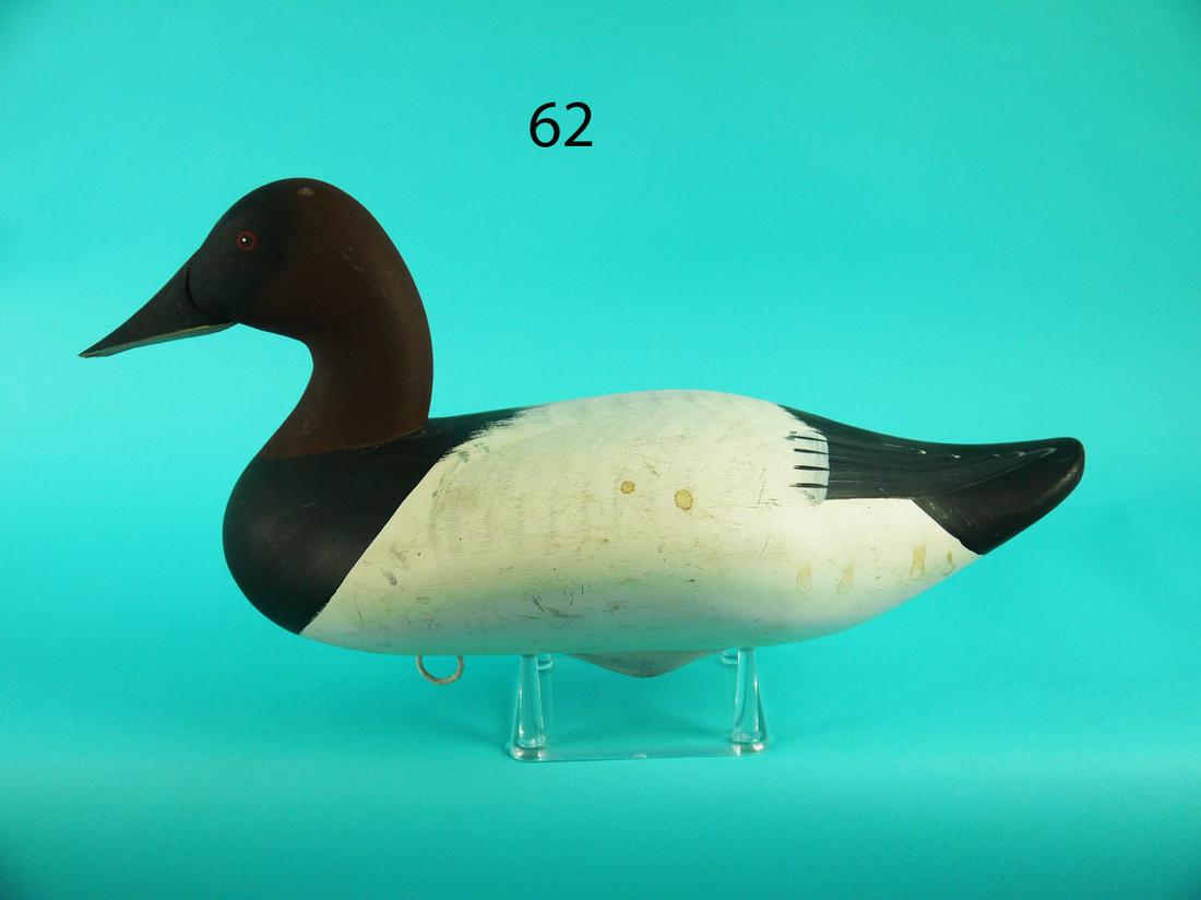 CANVASBACK DRAKE, G. WAGONER (1 of 4)