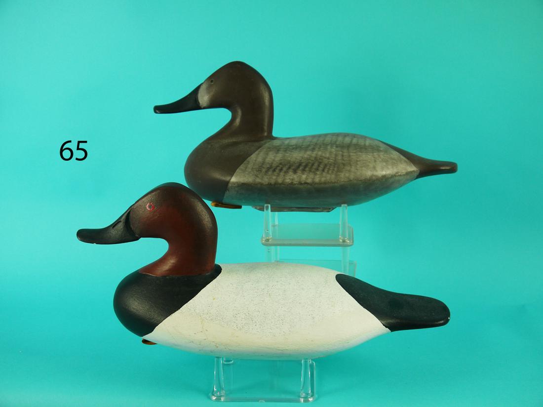 CANVASBACK PAIR, UPPER BAY (1 of 4)