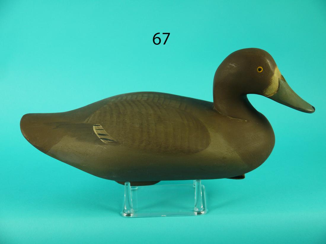 BLUEBILL HEN, UPPER BAY (1 of 4)