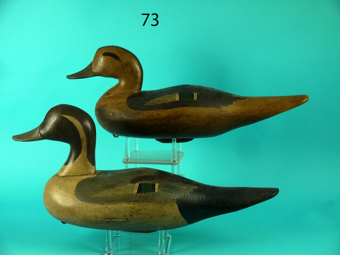 PINTAIL PAIR, P. GIBSON (1 of 4)