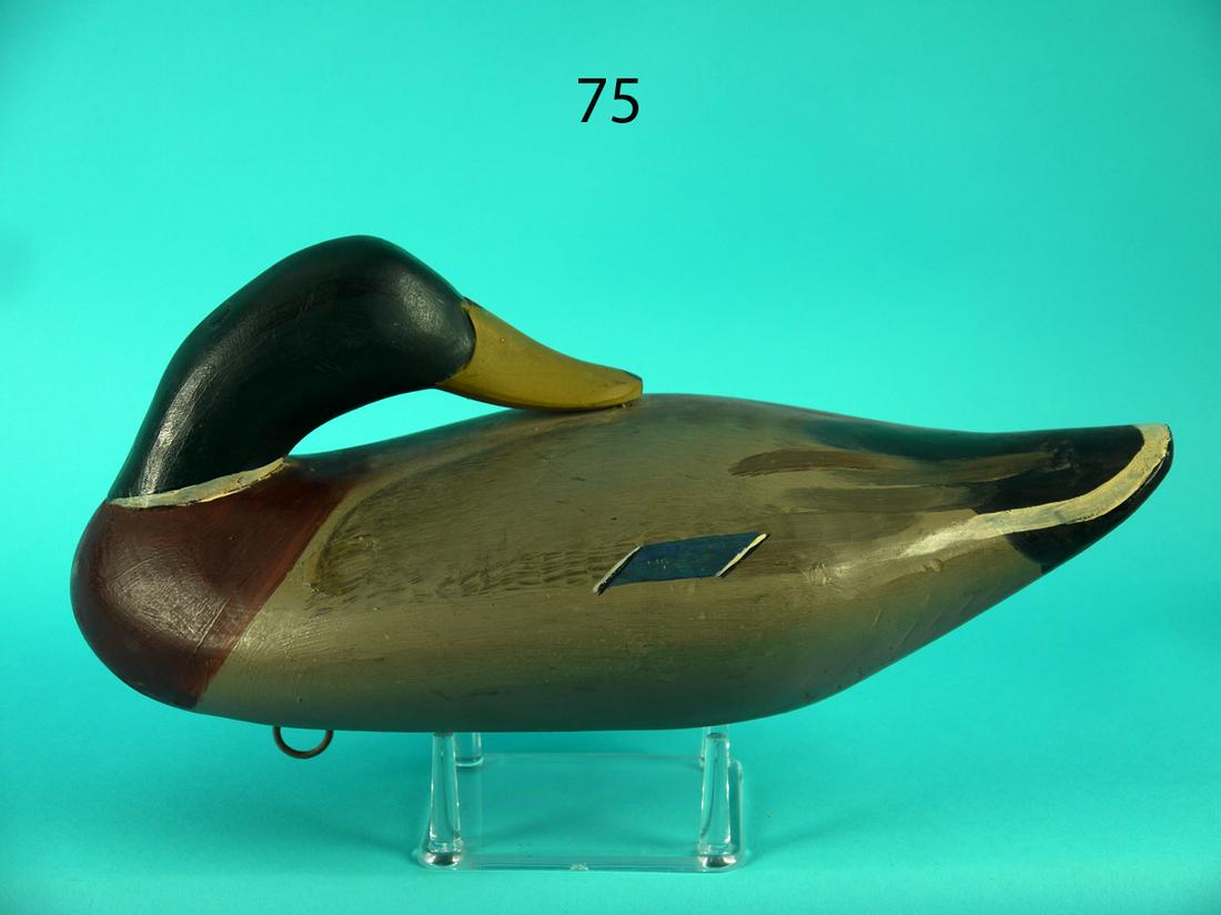 PREENING MALLARD DRAKE, J.E. MCKINNEY (1 of 4)