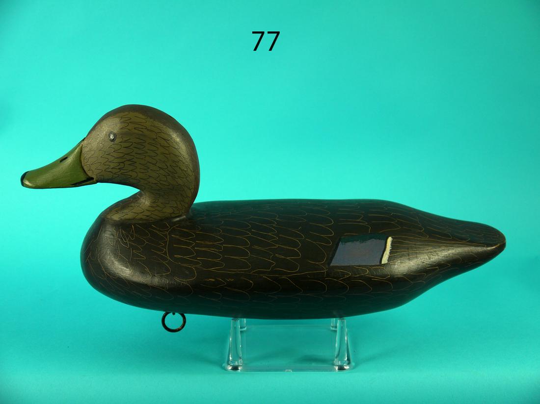 BLACK DUCK, J.E. MCKINNEY (1 of 4)
