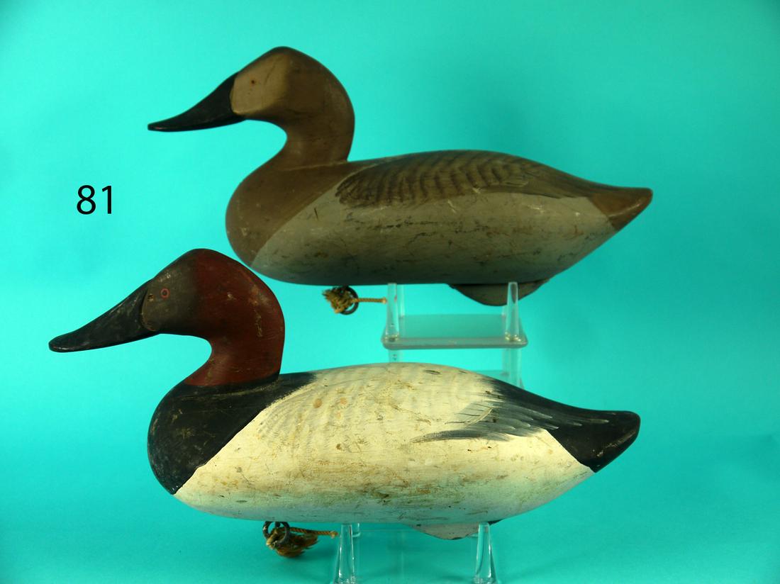 CANVASBACK PAIR, R.M. MITCHELL (1 of 4)