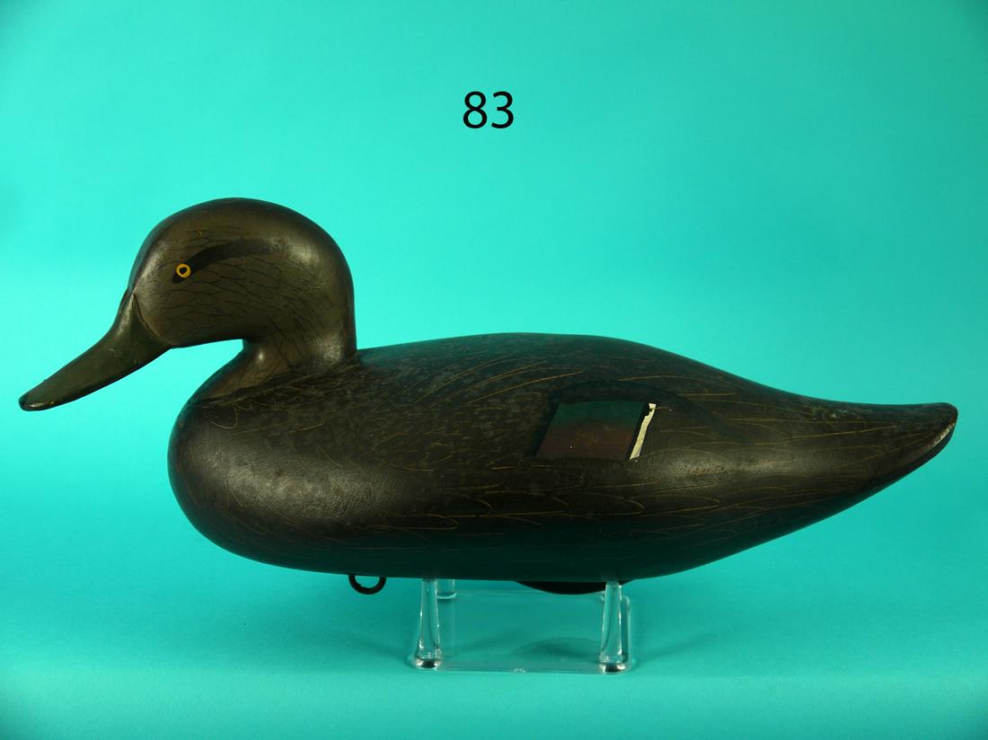 BLACK DUCK, R.M. MITCHELL (1 of 4)