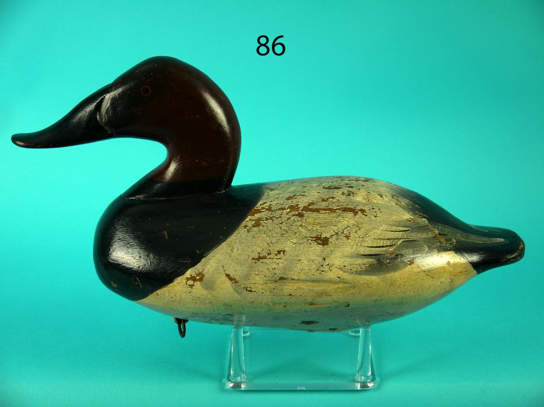 CANVASBACK DRAKE, J. CURRIER (1 of 4)