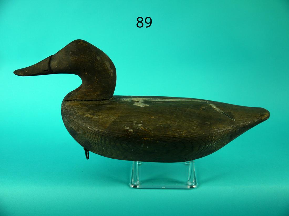 EARLY CANVASBACK HEN, UPPER BAY (1 of 4)