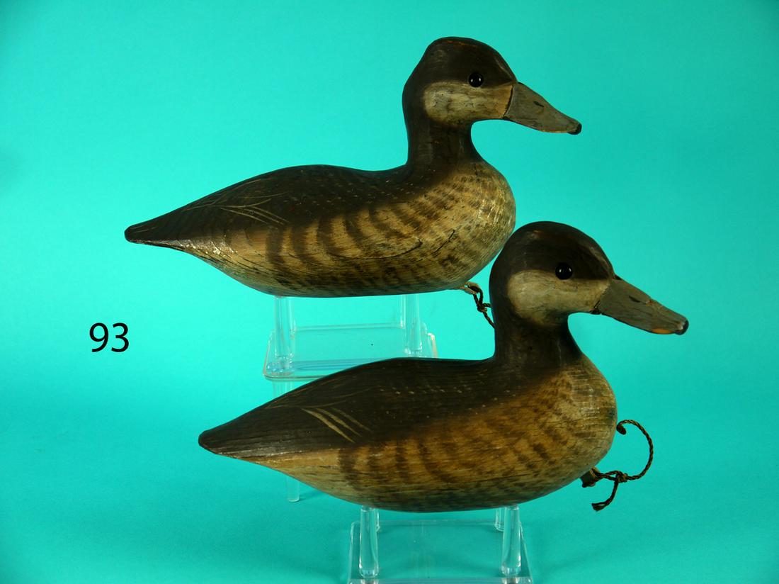 TWO RUDDY DUCK HENS, T. SAVAGE (1 of 4)