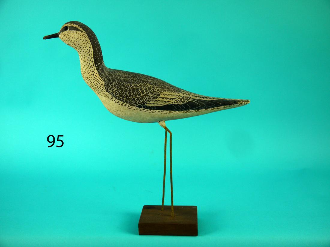 LESSER YELLOWLEG,  L. STERLING (1 of 3)