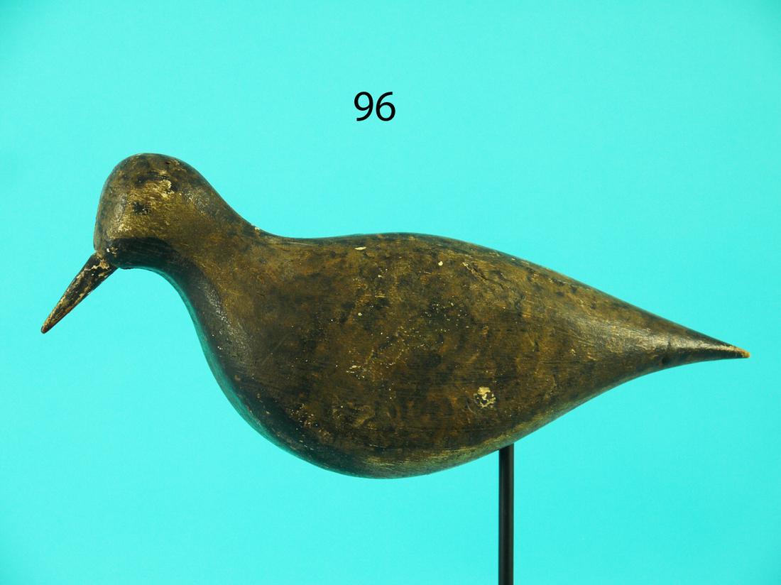 BLACK BREAST PLOVER, VIRGINIA (1 of 4)