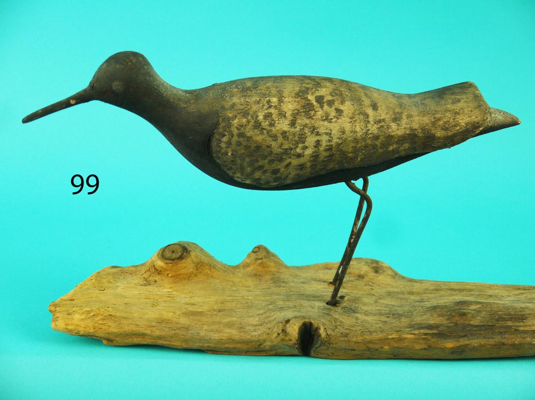 EARLY BLACK BREAST PLOVER, VIRGINIA (1 of 4)