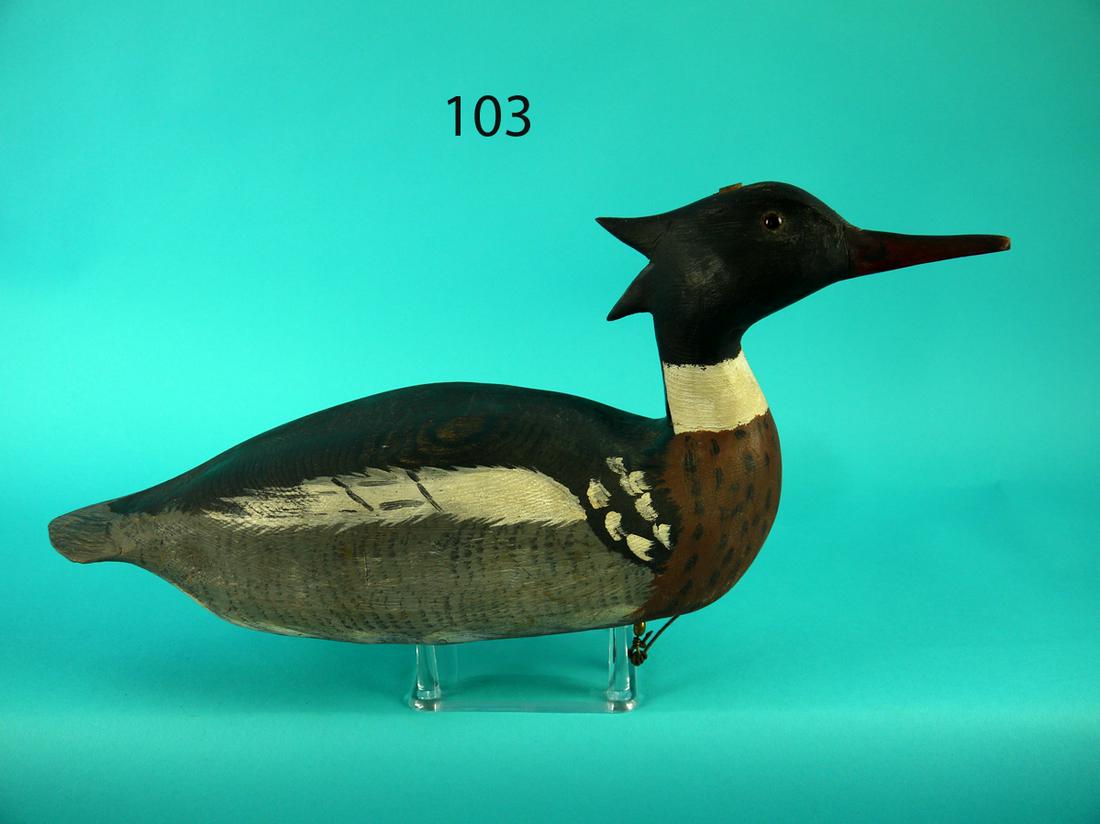 RED-BREAST MERGANSER DRAKE, CHINCOTEAGUE (1 of 4)