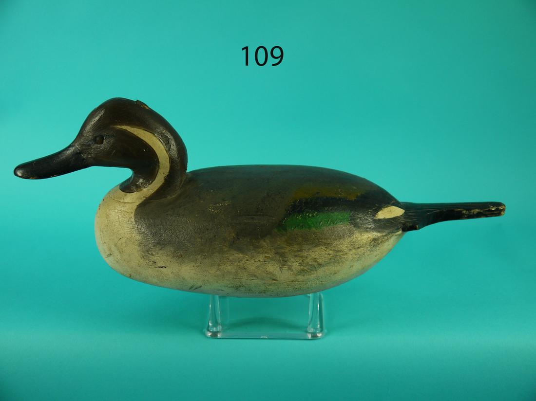 PINTAIL DRAKE, I. HUDSON (1 of 4)