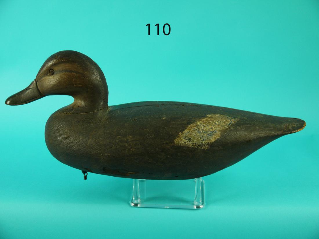 EARLY BLACK DUCK, I. HUDSON (1 of 4)