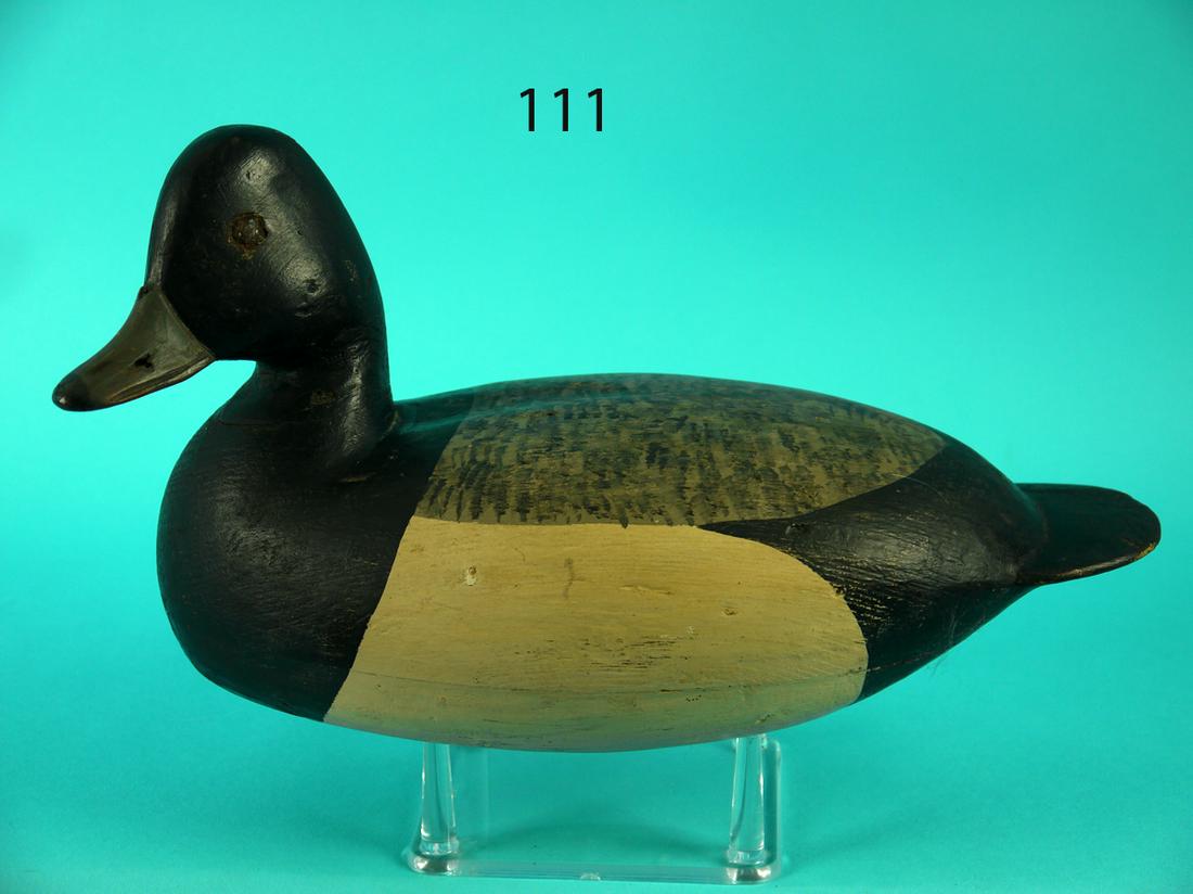 BLUEBILL DRAKE, I. HUDSON (1 of 4)