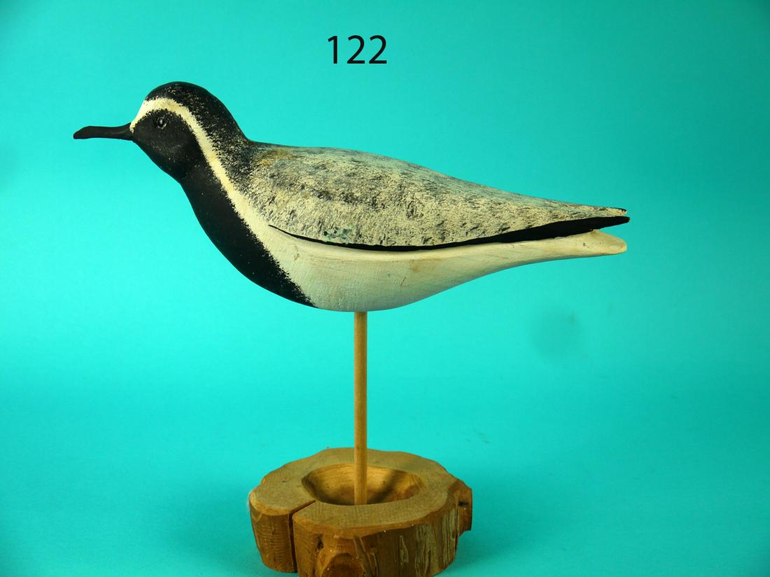 BLACK BREAST PLOVER, J. HAMILTON (1 of 4)