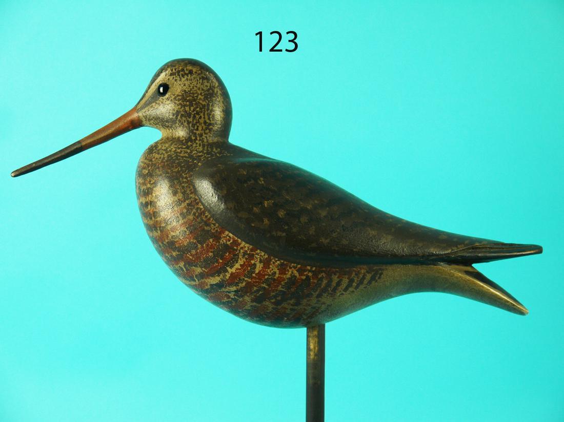 HUDSONIAN  GODWIT, S. MOREY (1 of 4)