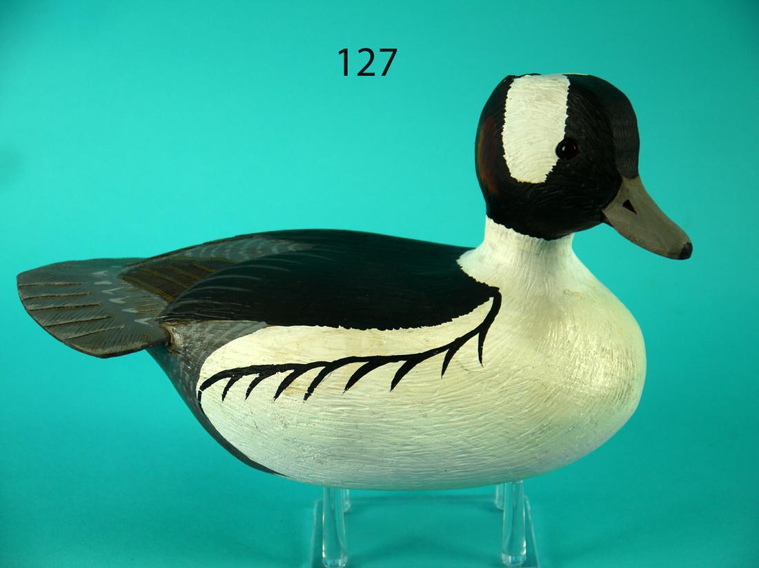 BUFFLEHEAD DRAKE, L. REINERI (1 of 4)