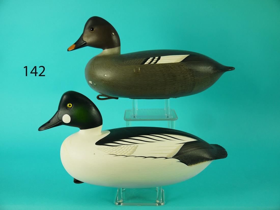 GOLDENEYE PAIR, F.C. BROWN, JR. (1 of 4)