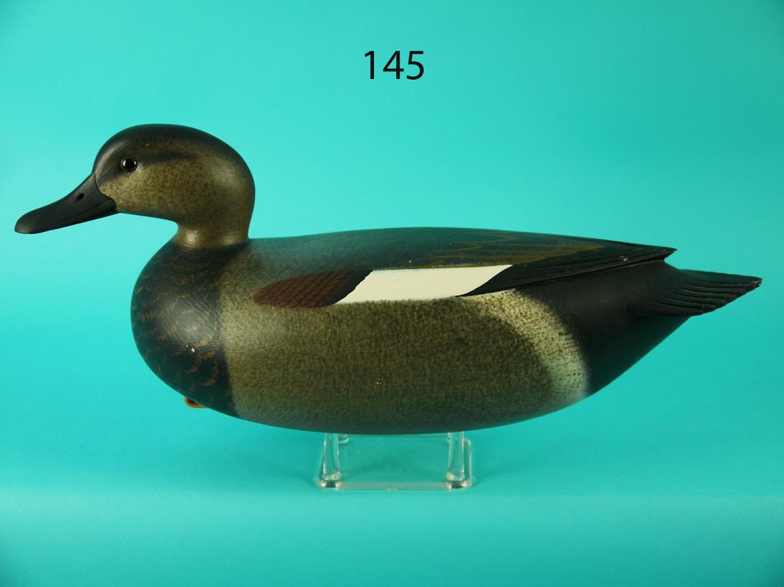 GADWALL  DRAKE, F.C. BROWN, JR. (1 of 4)