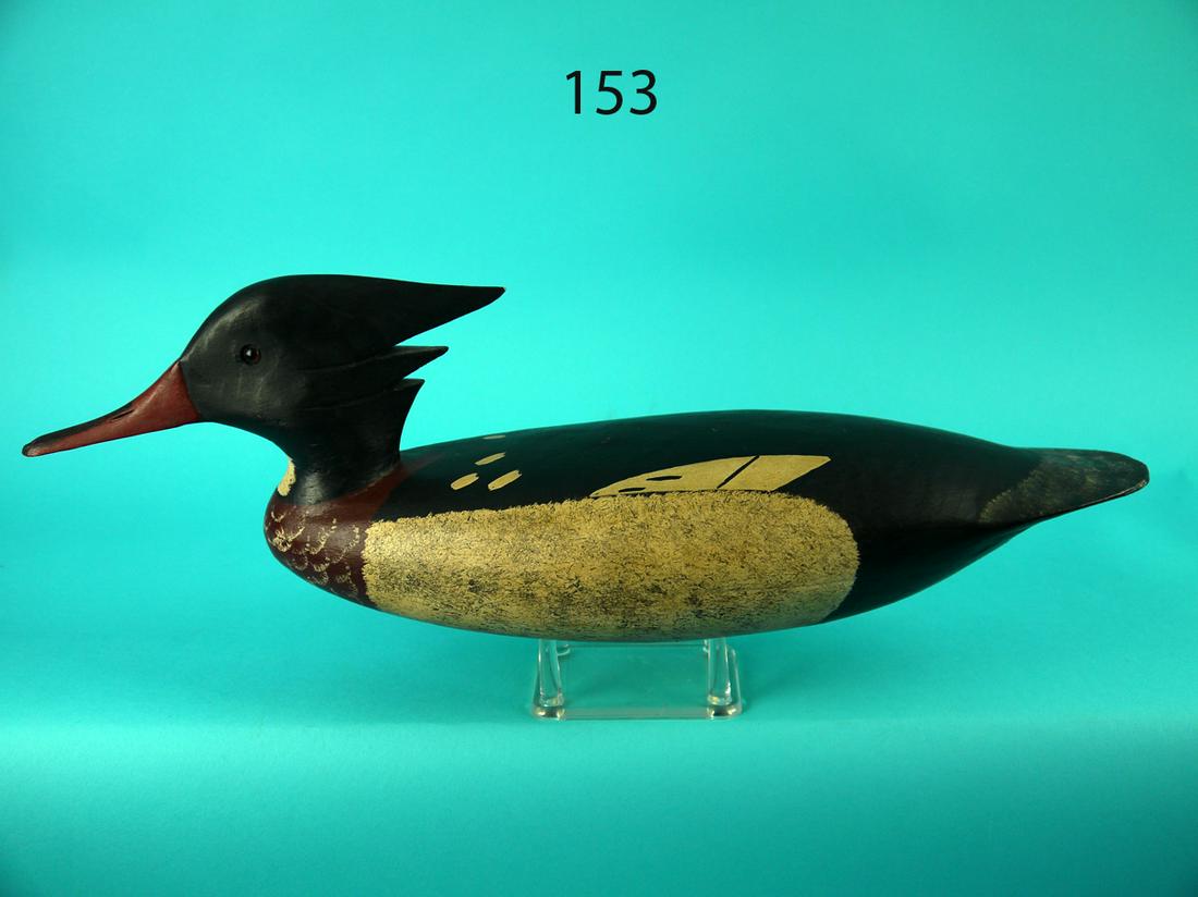 RED-BREAST MERGANSER DRAKE, J. HAMILTON (1 of 4)