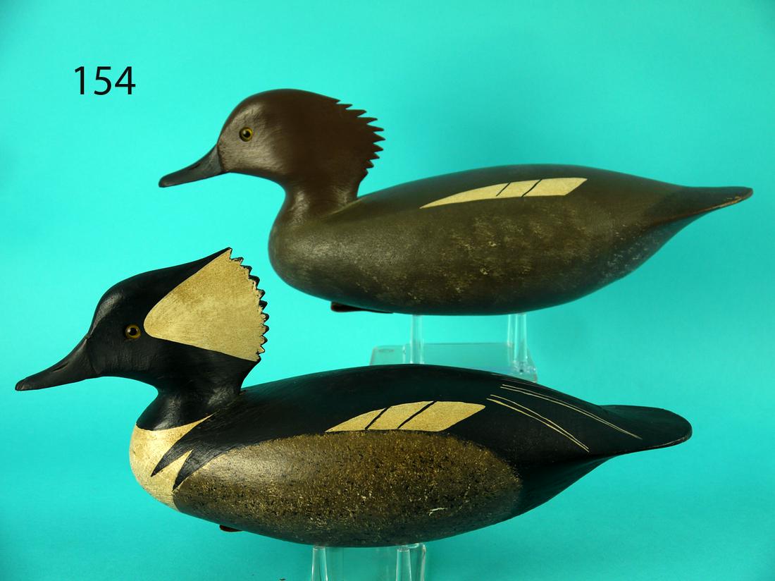 HOODED MERGANSER PAIR, J. HAMILTON (1 of 4)
