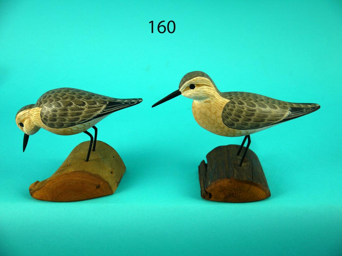 TWO SANDERLINGS, H.V. SHOURDS (1 of 4)