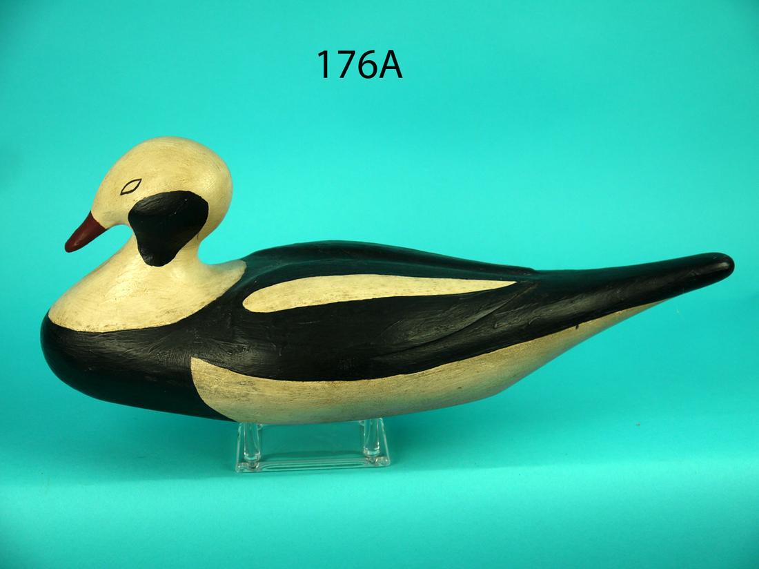 OLD SQUAW DRAKE, MAINE: OLD SQUAW DRAKE, probably Maine. Excellent original paint and unused condition. Relief-carved wings and elongated carved tail. "A" carved in bottom. 200-300