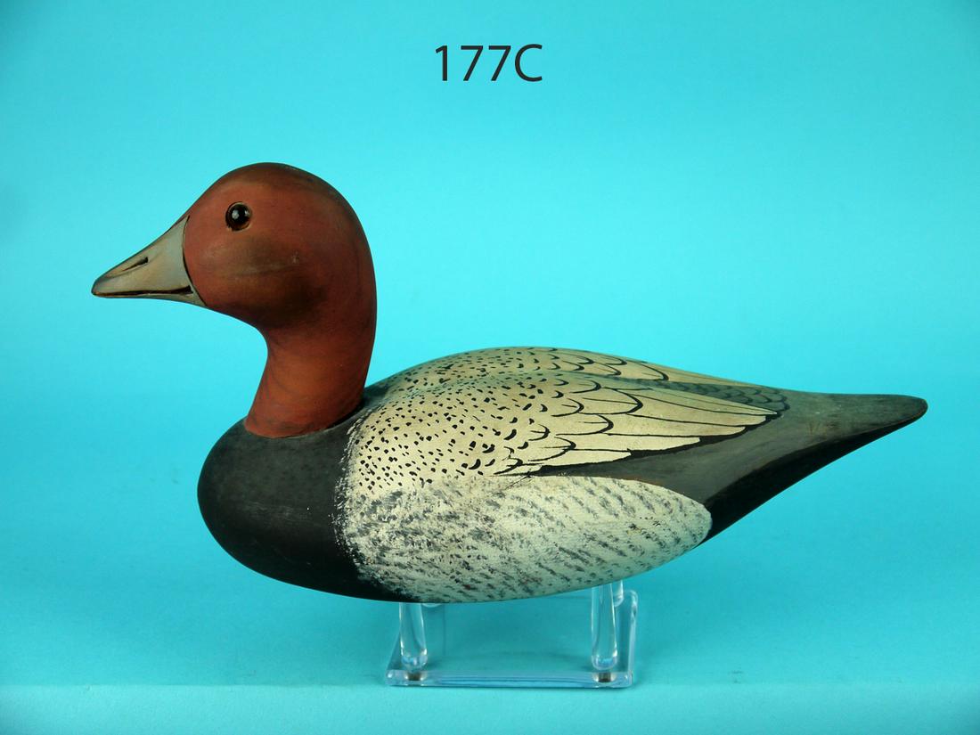 ONE-THIRD SIZE CANVASBACK DRAKE, WILDFOWLER (1 of 4)