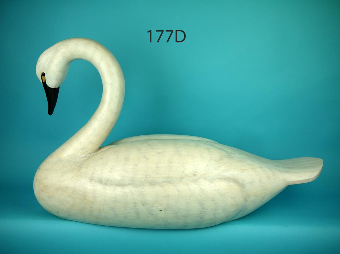 FULL-SIZE SWAN, B. CONROY (1 of 4)