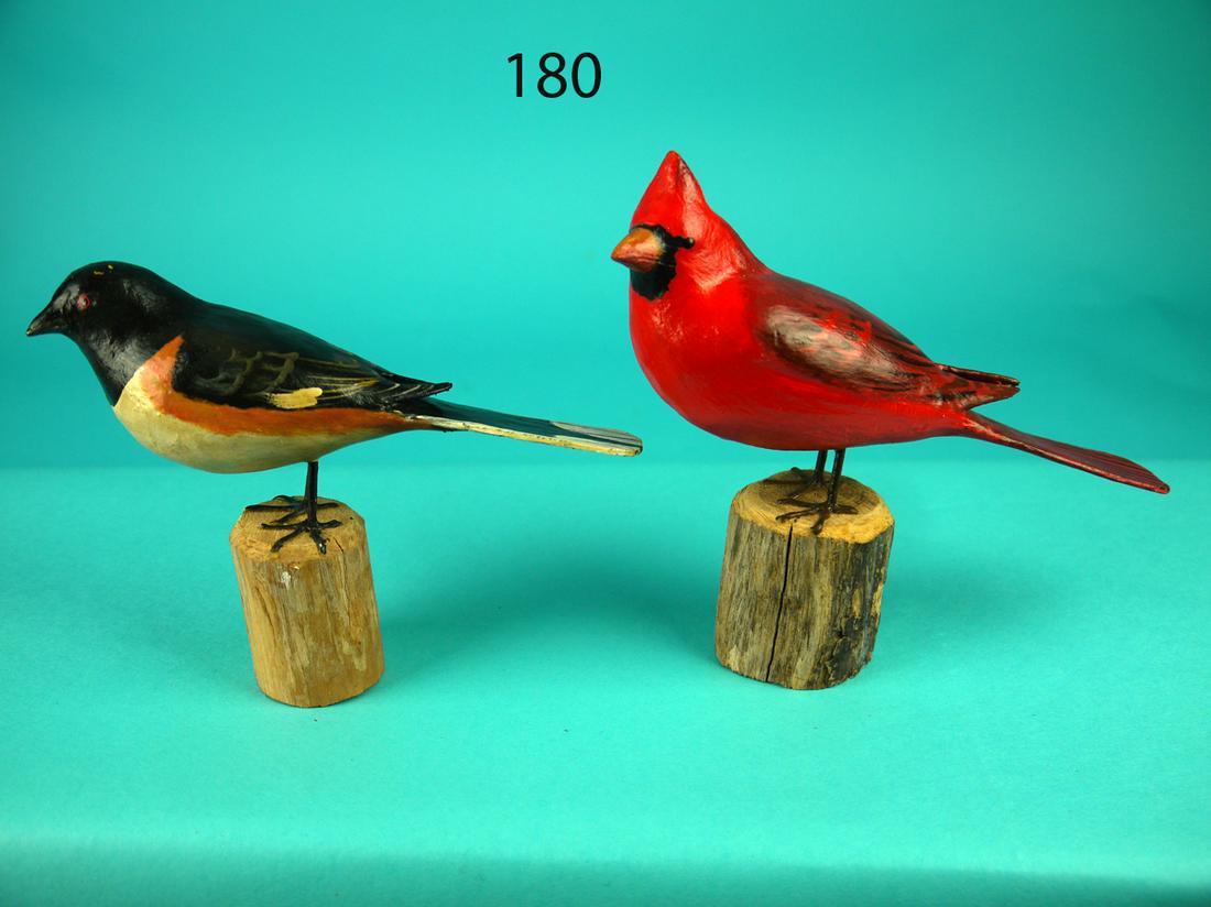 CARDINAL, TOWHEE, P. PELTZ (1 of 4)