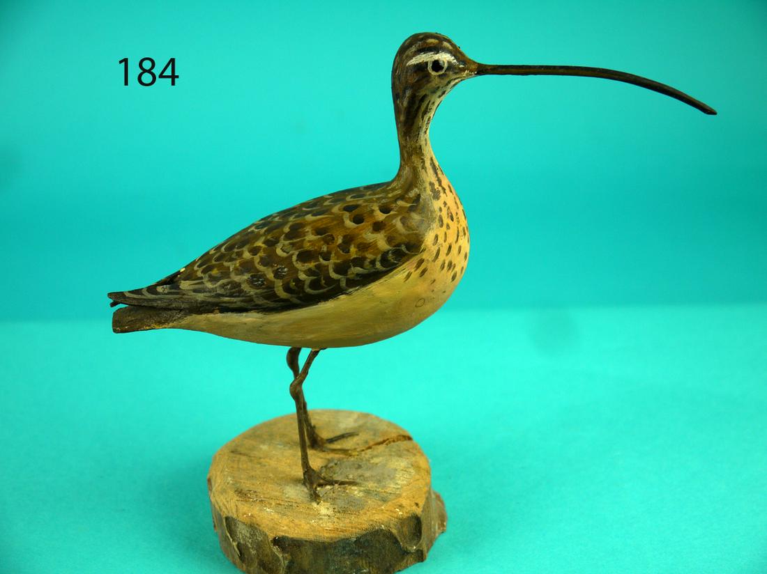 MINIATURE LONG BILLED CURLEW, P. PELTZ (1 of 4)