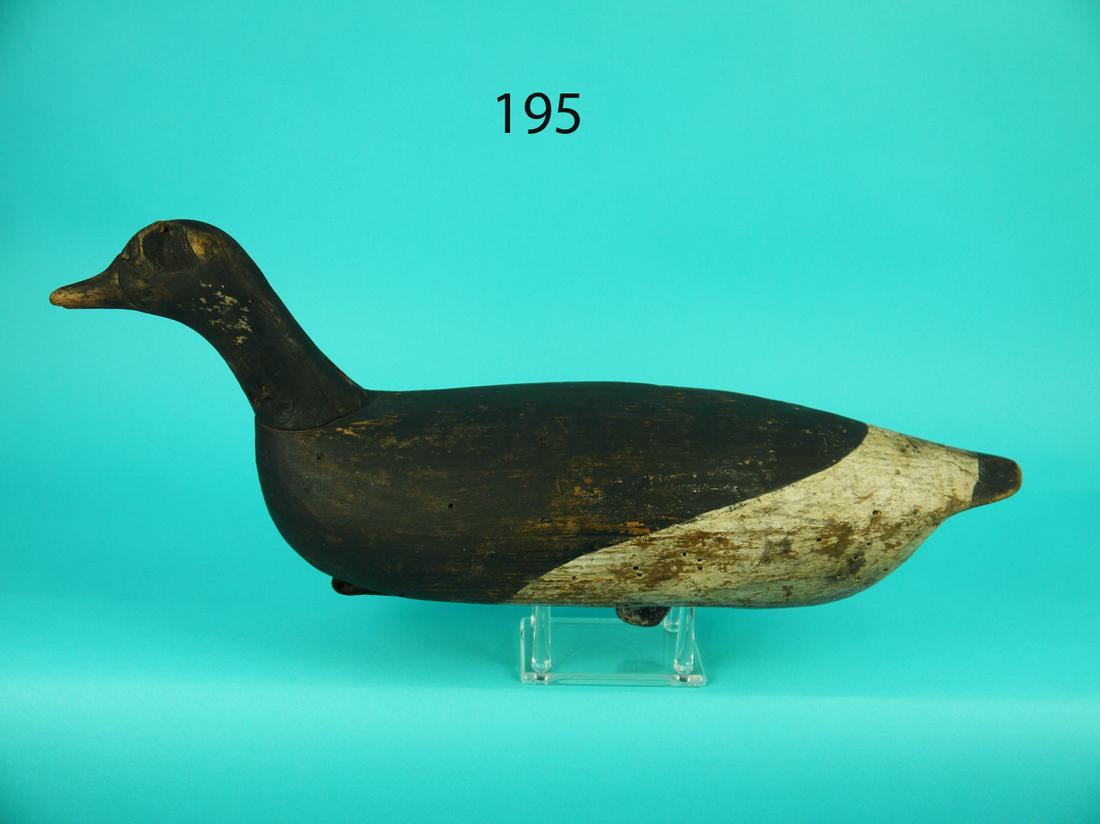 VERY EARLY BRANT, W. CARMAN (1 of 4)