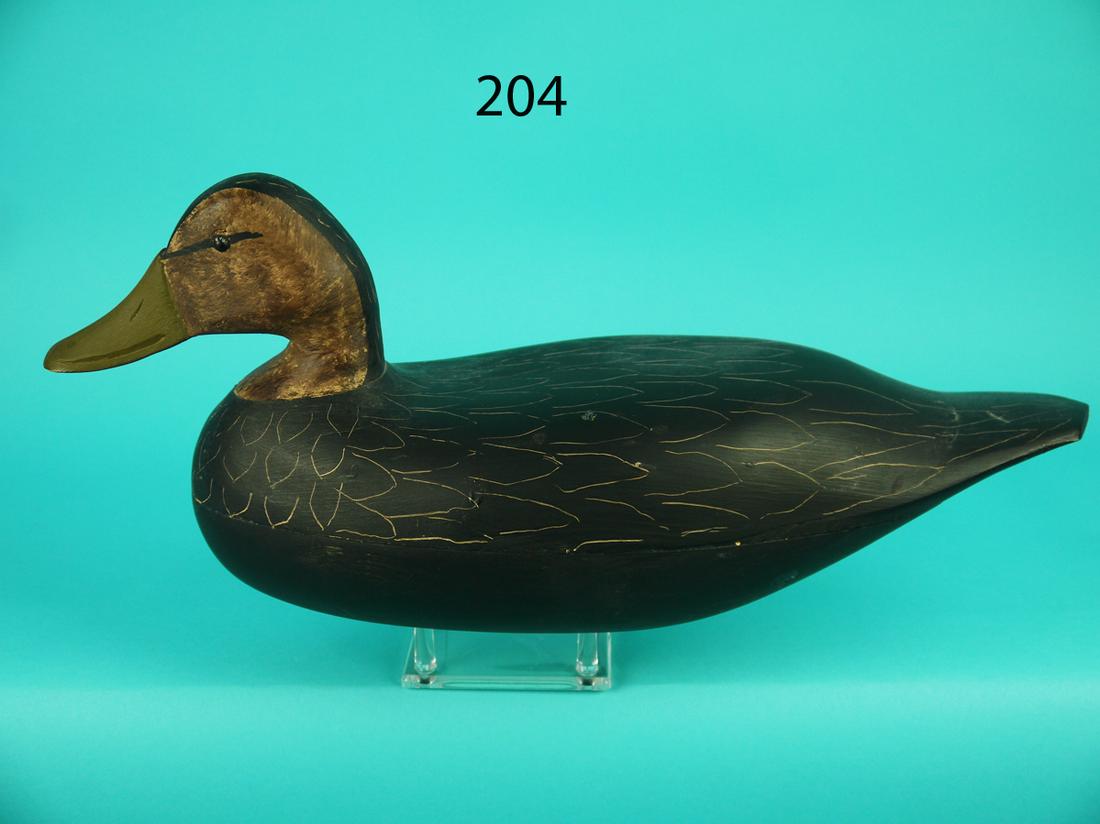 BLACK DUCK, J.E. HENDRICKSON (1 of 4)