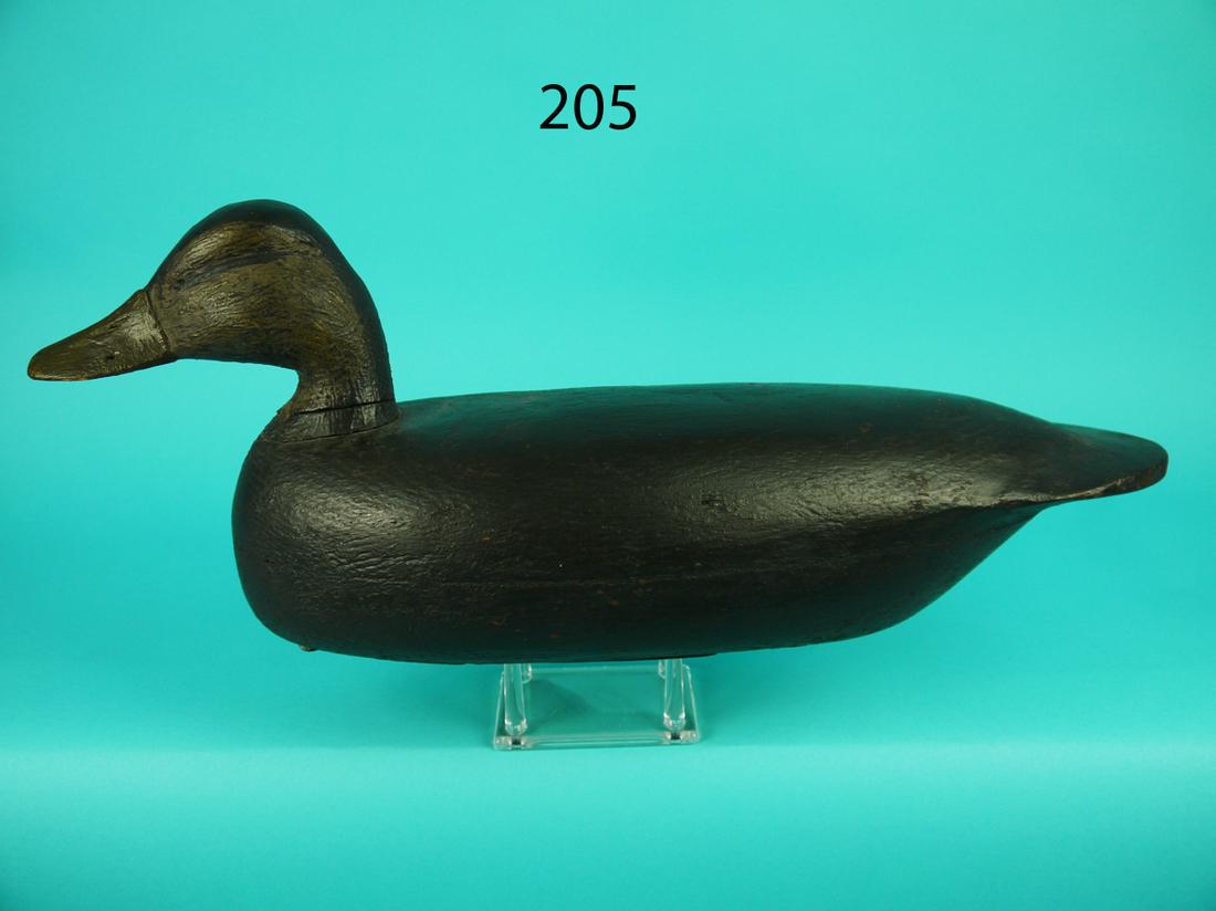 BLACK DUCK, J.T. CRANMER (1 of 4)