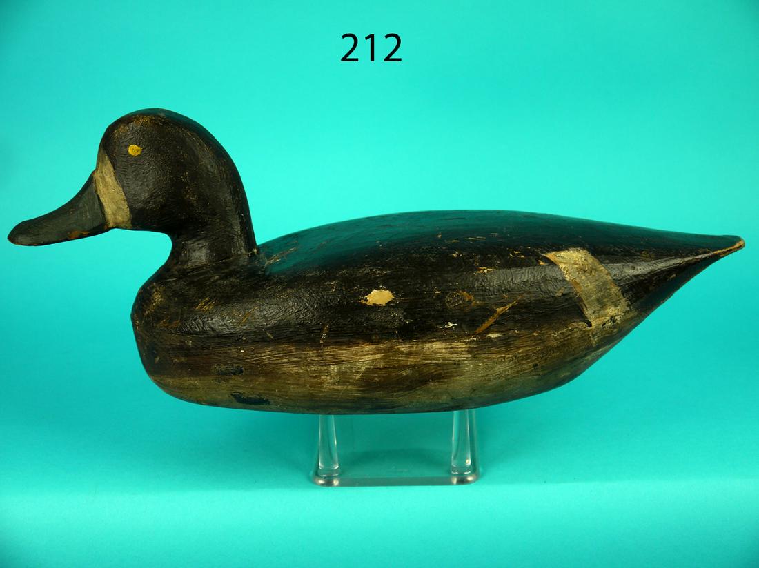 BLUEBILL HEN, J. BARRETT (1 of 4)