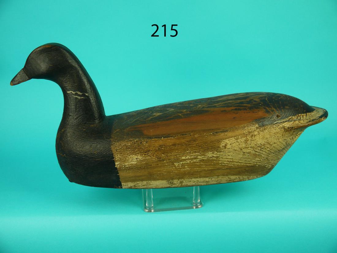 BRANT, NEW JERSEY (1 of 4)