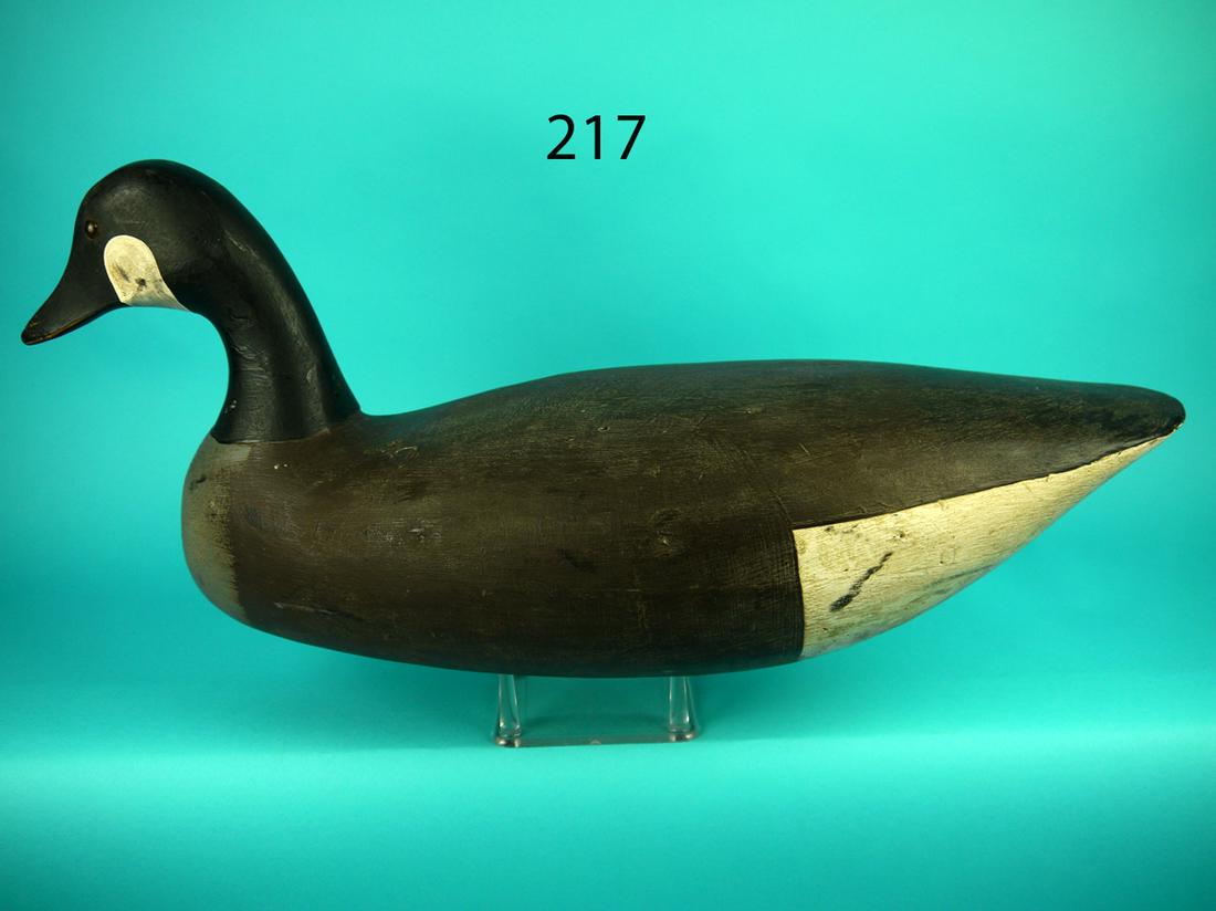 CANADA GOOSE, BARNEGAT BAY (1 of 4)