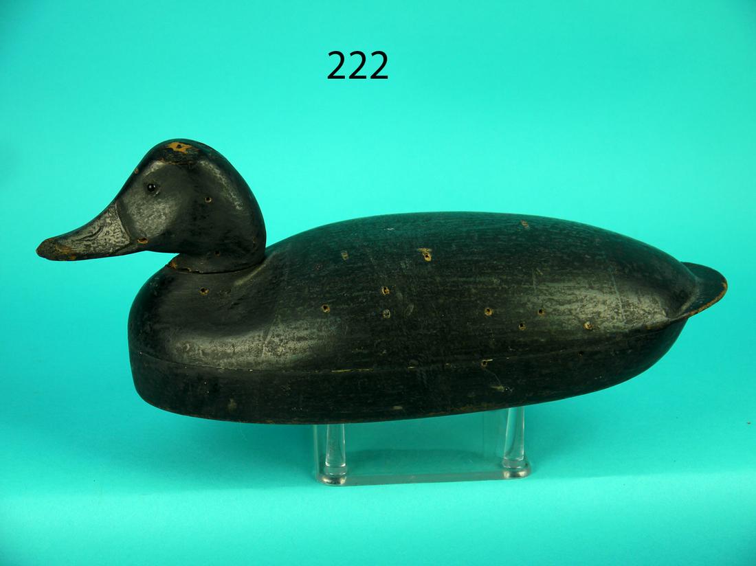 EARLY BROADBILL DRAKE, DELAWARE RIVER (1 of 4)