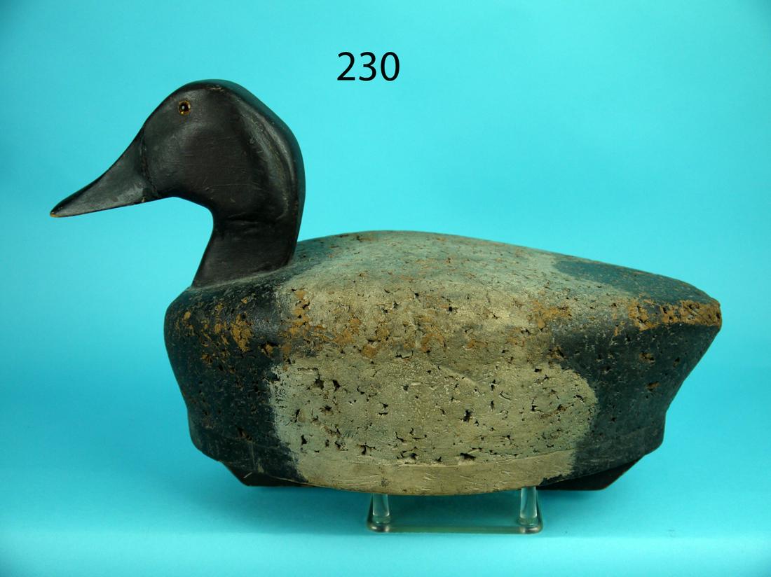 CANVASBACK DRAKE,  MICHIGAN (1 of 4)