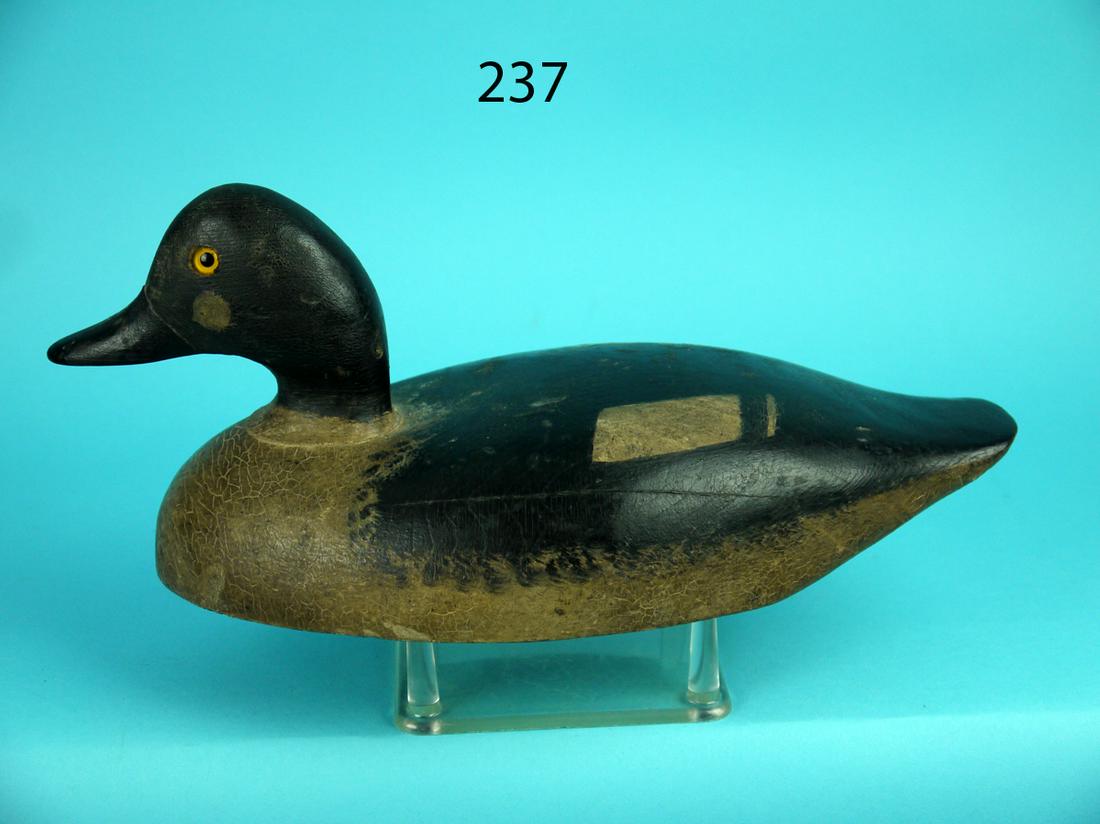 EARLY GOLDENEYE DRAKE, G. WARIN (1 of 4)