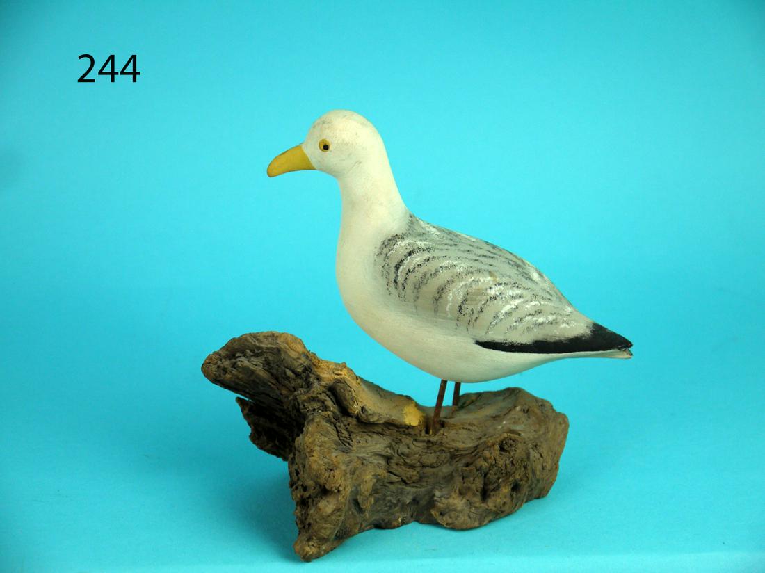 ONE-QUARTER SIZE GRAY BACK GULL, A. THIBAULT (1 of 4)