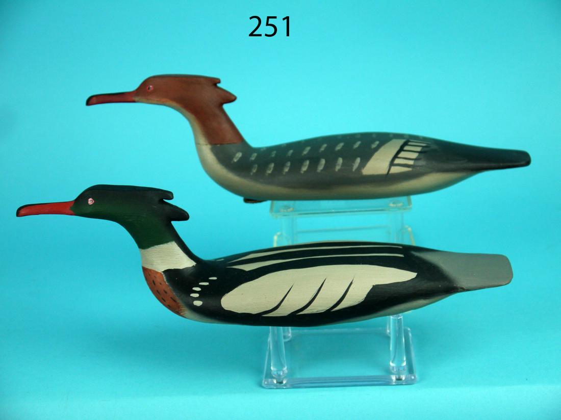 ONE-THIRD SIZE RED-BREAST MERGANSERS, B. BIDDLE (1 of 4)